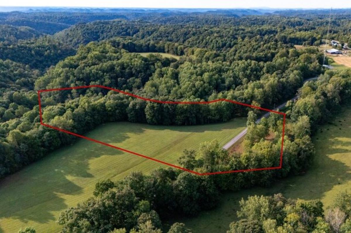 Picture of Residential Land For Sale in Pleasant Shade, Tennessee, United States