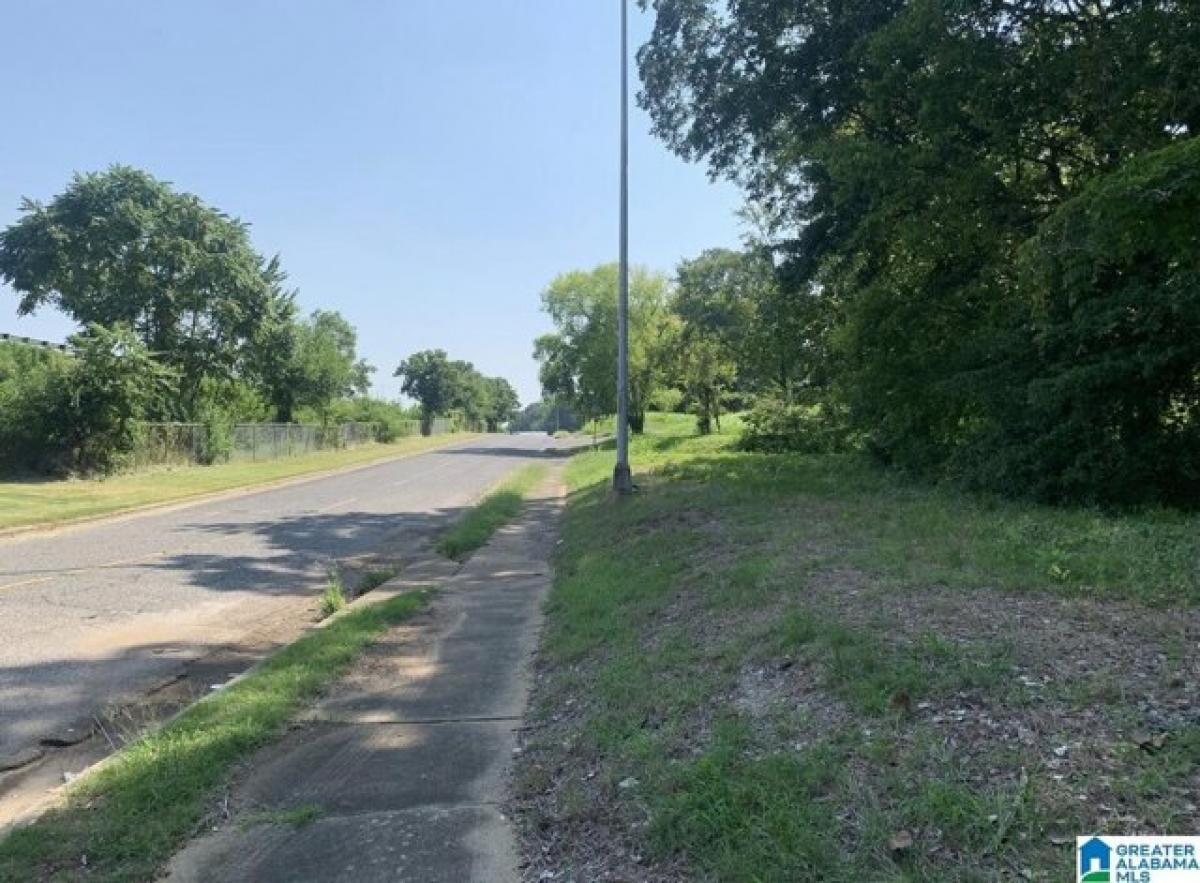 Picture of Residential Land For Rent in Birmingham, Alabama, United States