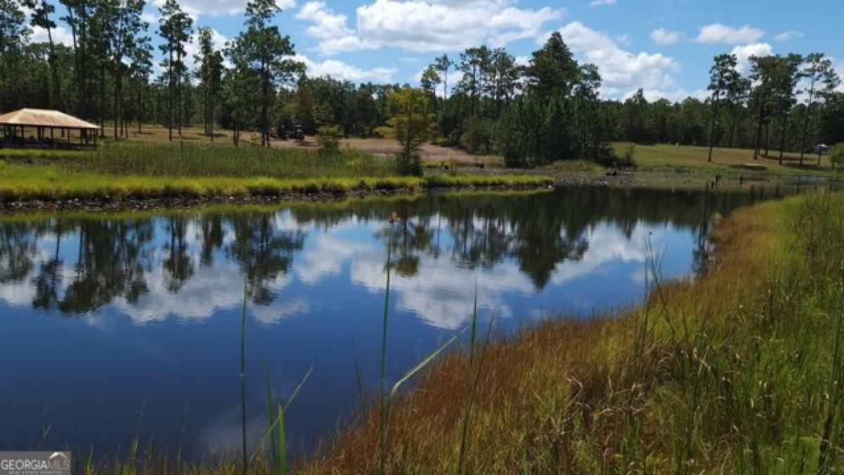 Picture of Residential Land For Sale in Donalsonville, Georgia, United States