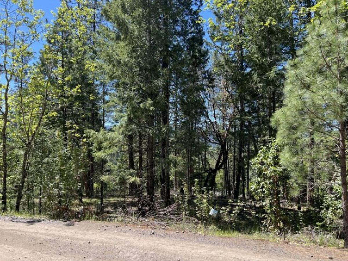 Picture of Residential Land For Sale in Prospect, Oregon, United States