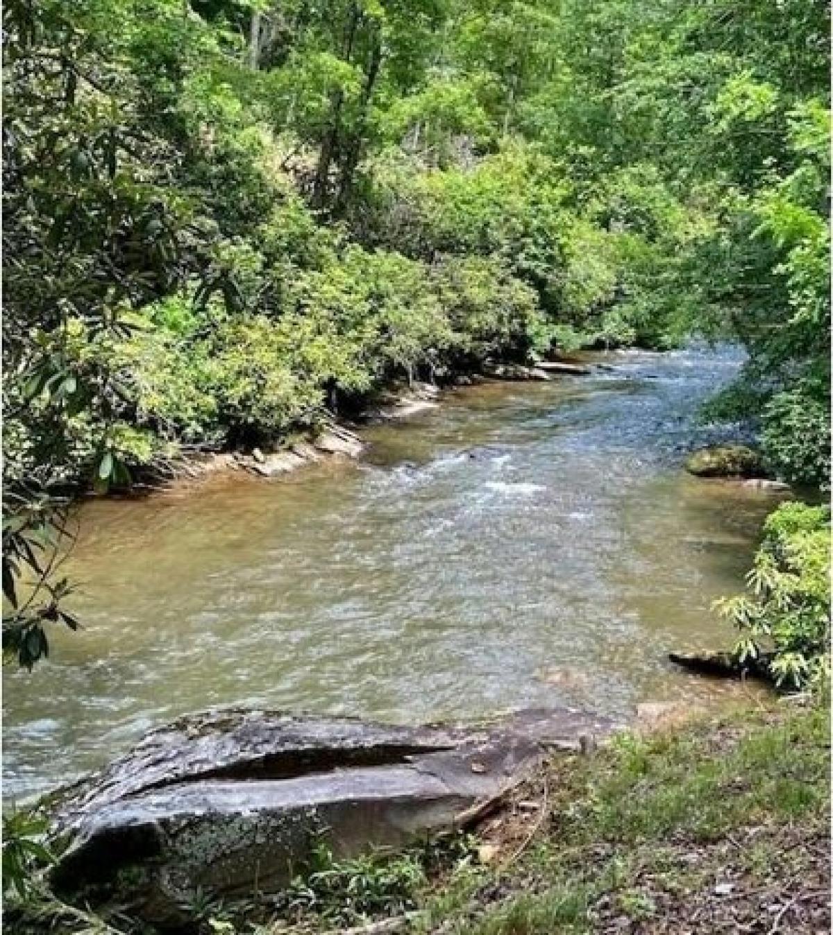 Picture of Residential Land For Sale in Hayesville, North Carolina, United States