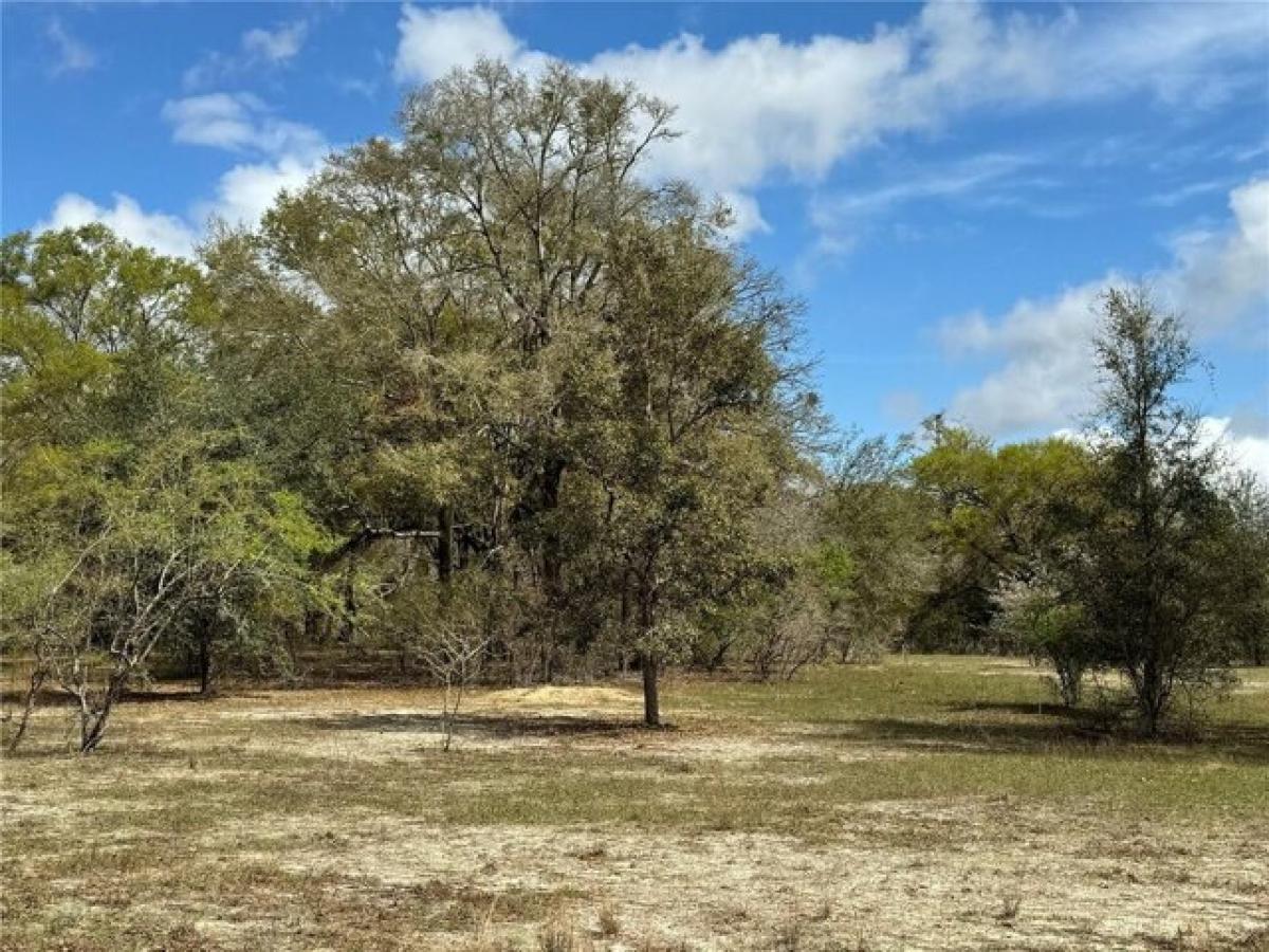 Picture of Residential Land For Sale in Bell, Florida, United States