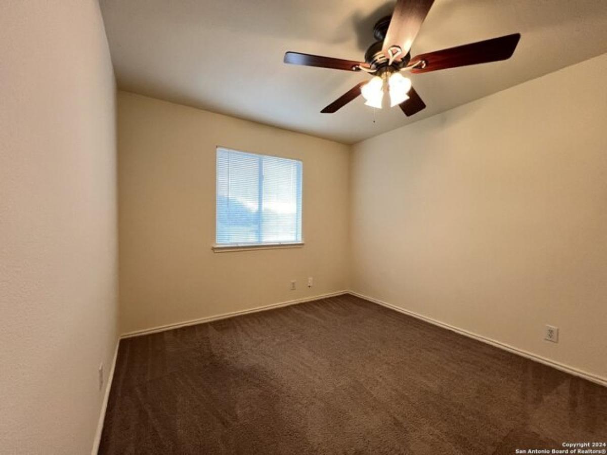 Picture of Home For Rent in San Antonio, Texas, United States