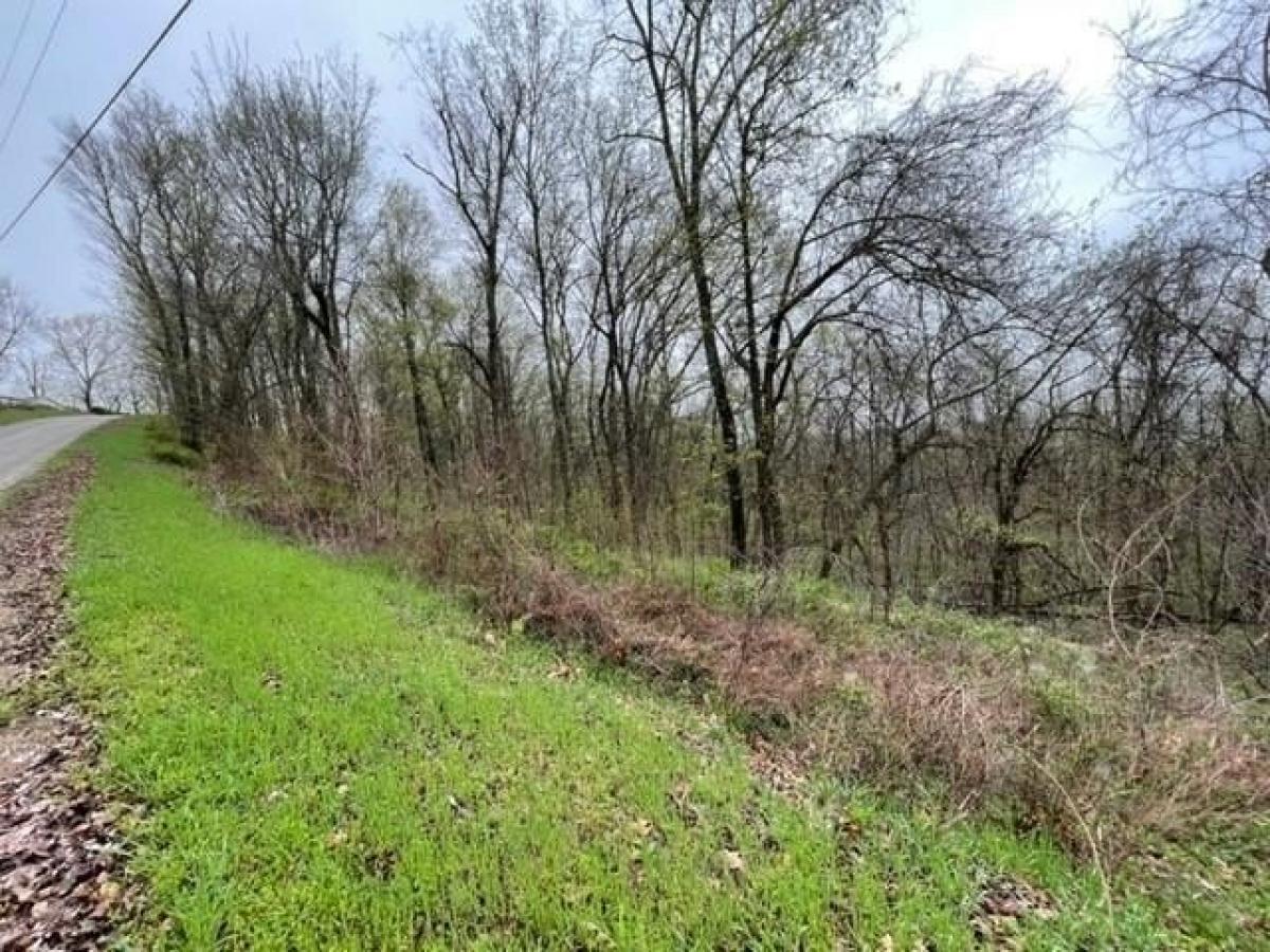 Picture of Residential Land For Sale in Holiday Island, Arkansas, United States