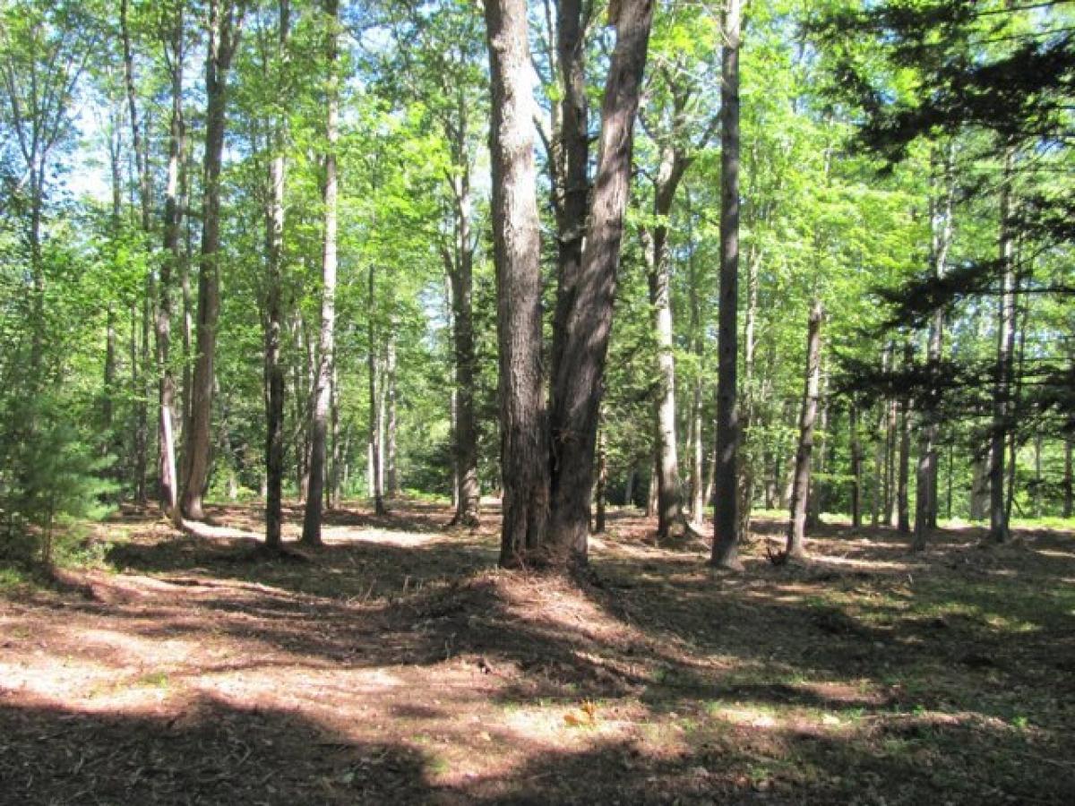 Picture of Residential Land For Sale in Kennebunk, Maine, United States