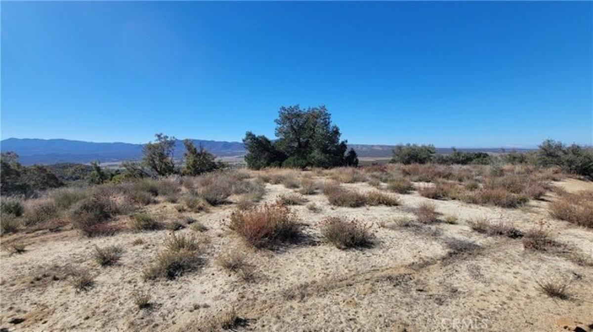 Picture of Residential Land For Sale in Anza, California, United States