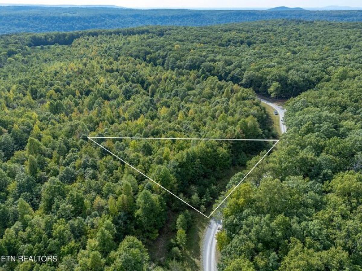 Picture of Residential Land For Sale in Rock Island, Tennessee, United States