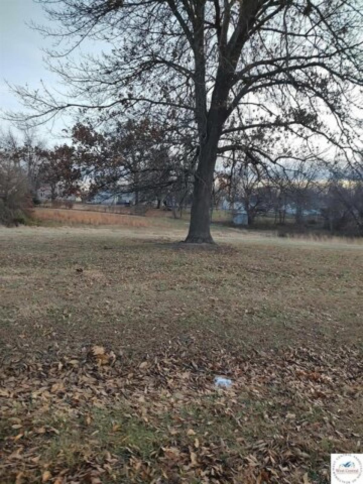 Picture of Residential Land For Sale in Windsor, Missouri, United States