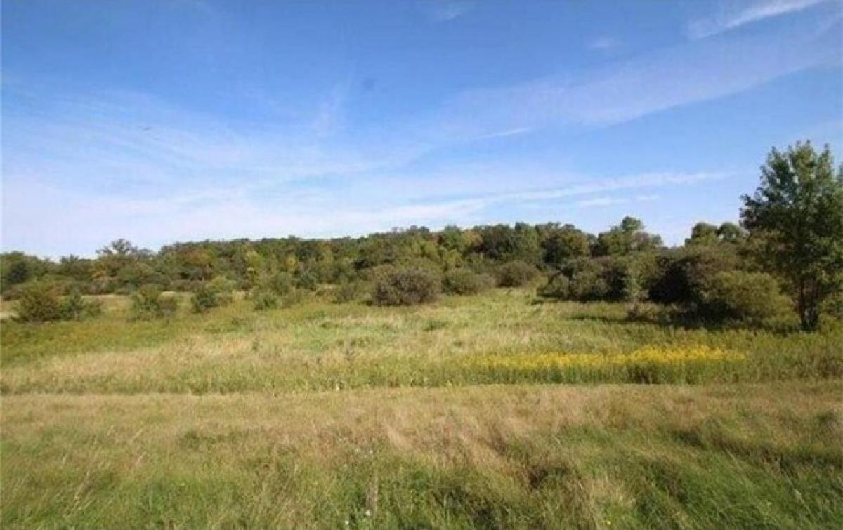 Picture of Residential Land For Sale in Kimball, Minnesota, United States