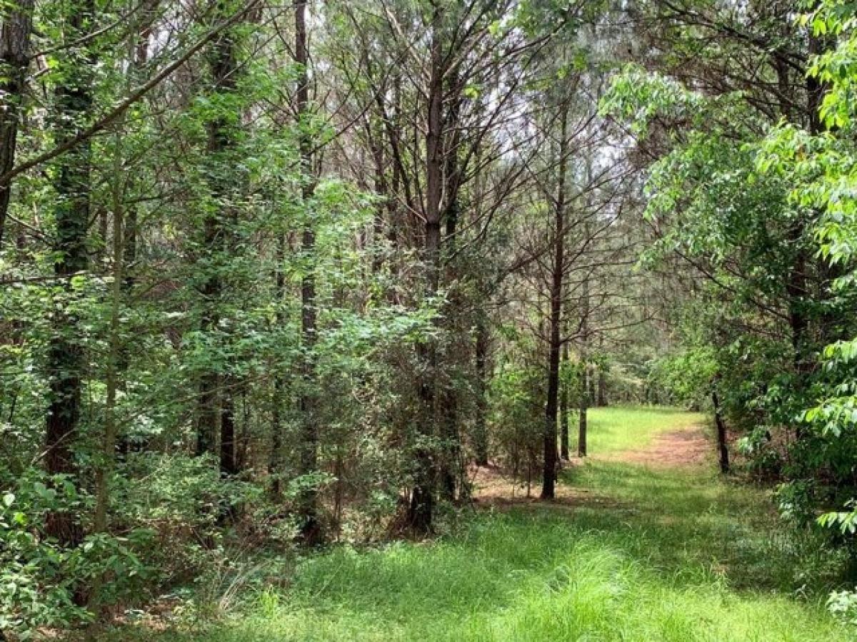 Picture of Residential Land For Sale in McCall Creek, Mississippi, United States