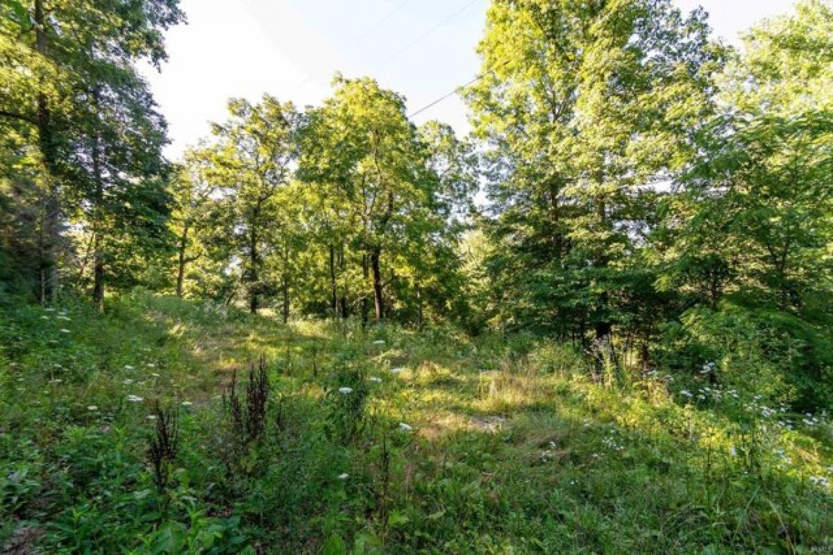 Picture of Residential Land For Sale in Springville, Indiana, United States