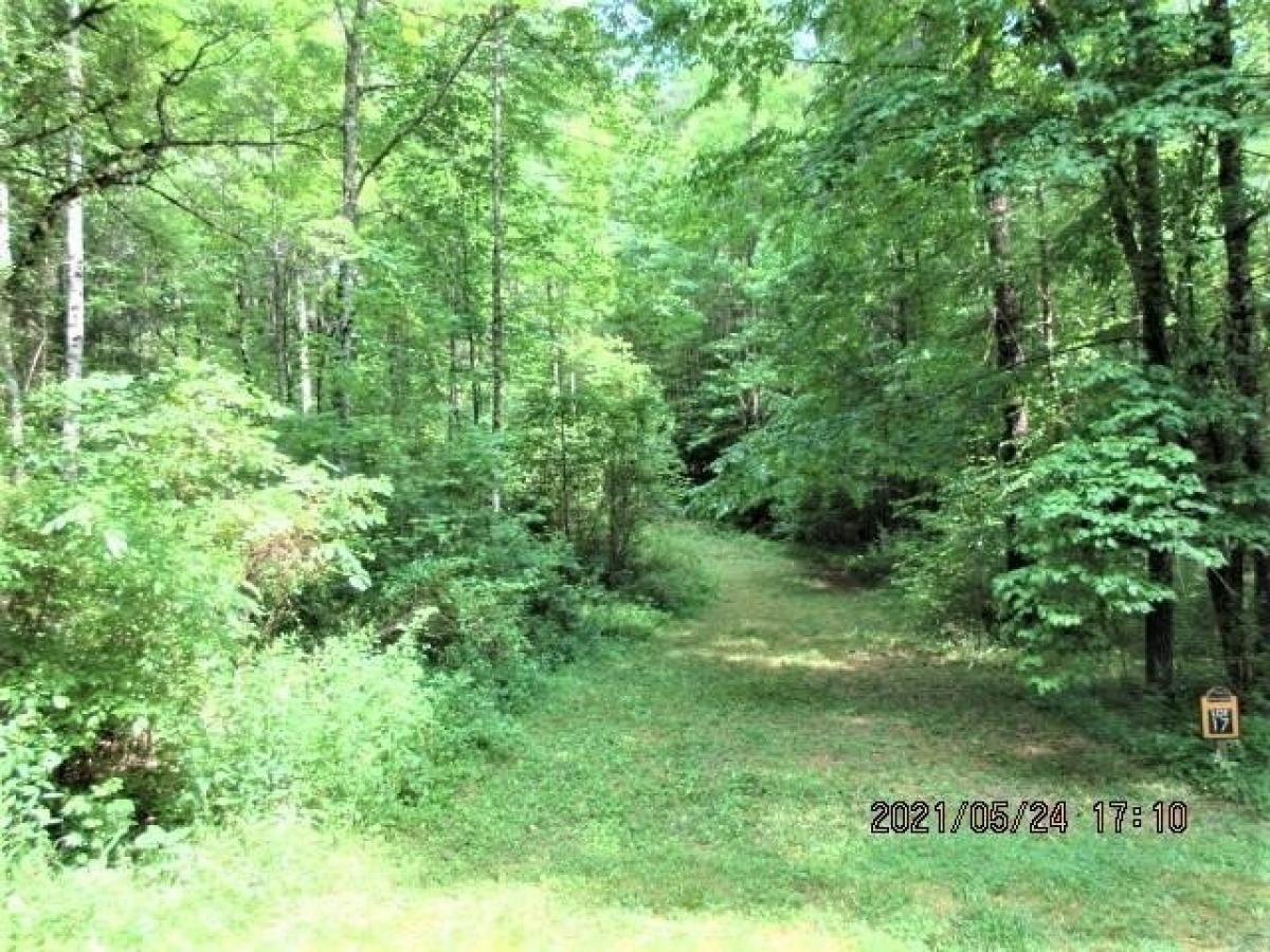 Picture of Residential Land For Sale in Murphy, North Carolina, United States