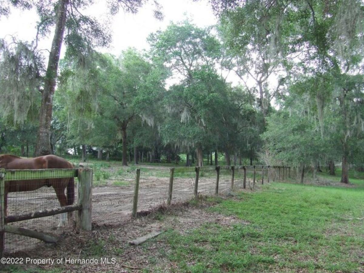 Picture of Residential Land For Sale in Brooksville, Florida, United States