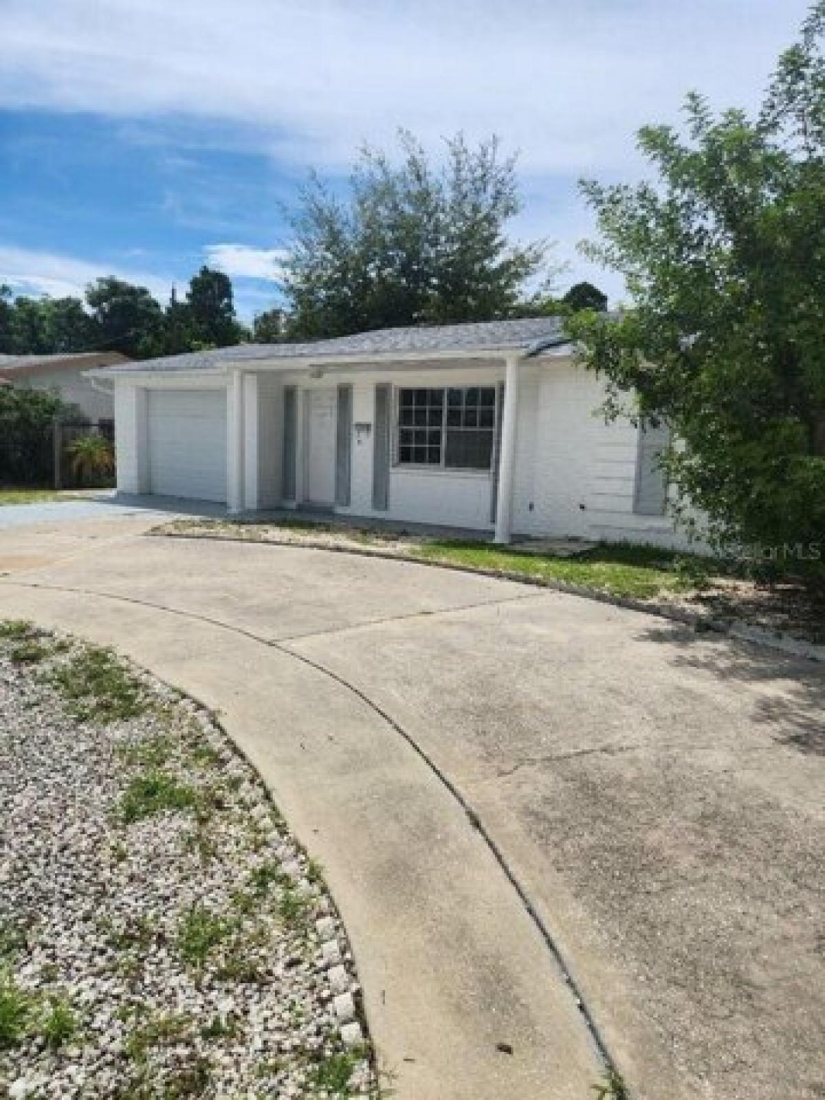 Picture of Home For Rent in Holiday, Florida, United States