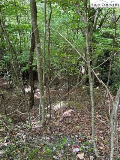 Residential Land For Rent in Beech Mountain, North Carolina