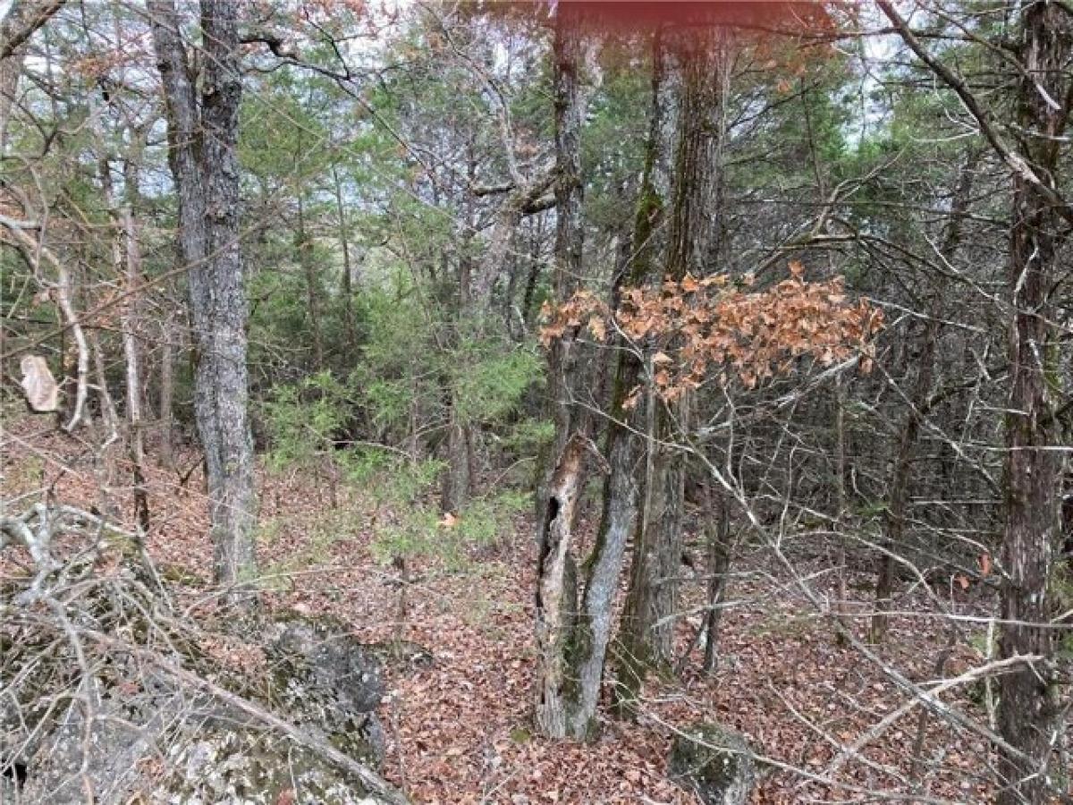 Picture of Residential Land For Rent in Holiday Island, Arkansas, United States