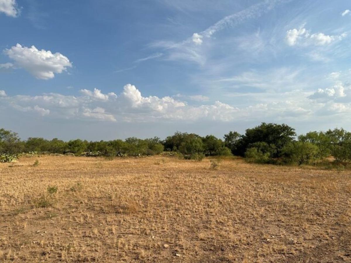 Picture of Residential Land For Sale in San Angelo, Texas, United States