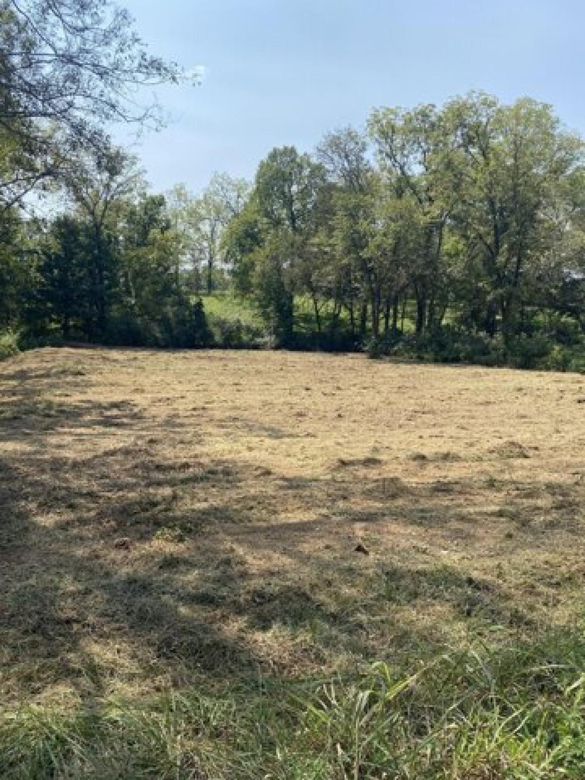 Picture of Residential Land For Sale in Columbia, Tennessee, United States