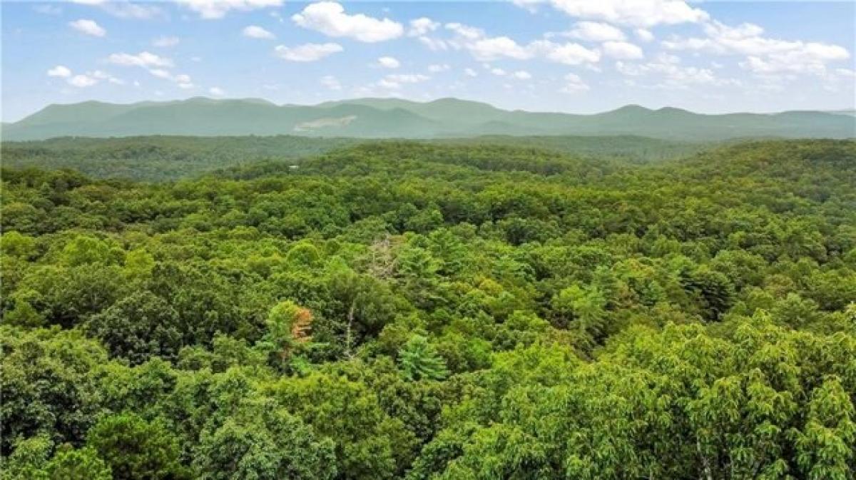 Picture of Residential Land For Sale in Ellijay, Georgia, United States