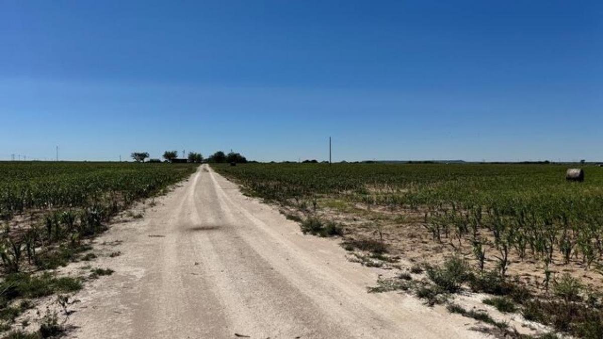 Picture of Residential Land For Sale in San Angelo, Texas, United States