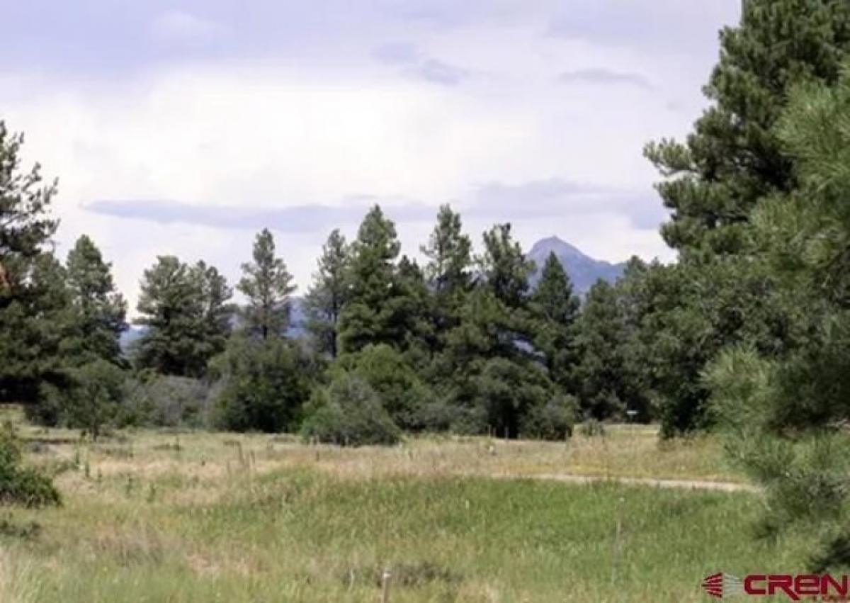 Picture of Residential Land For Sale in Pagosa Springs, Colorado, United States