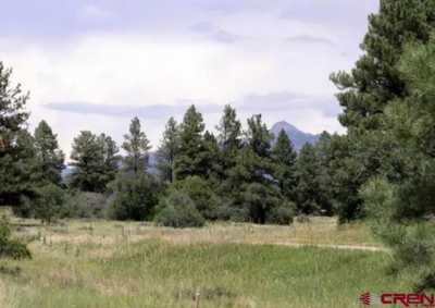 Residential Land For Sale in Pagosa Springs, Colorado