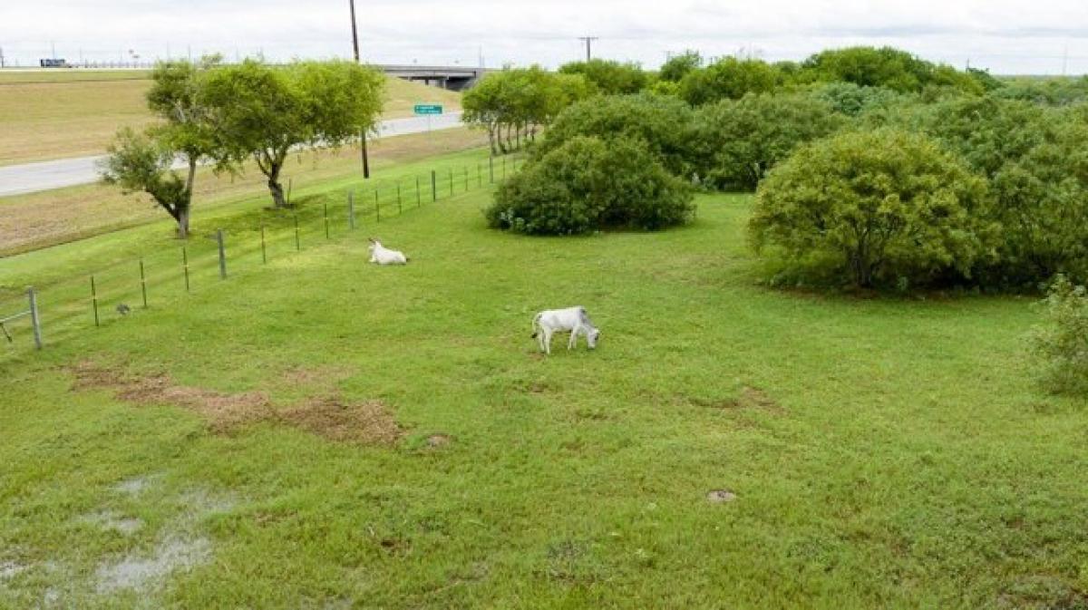 Picture of Residential Land For Sale in Aransas Pass, Texas, United States