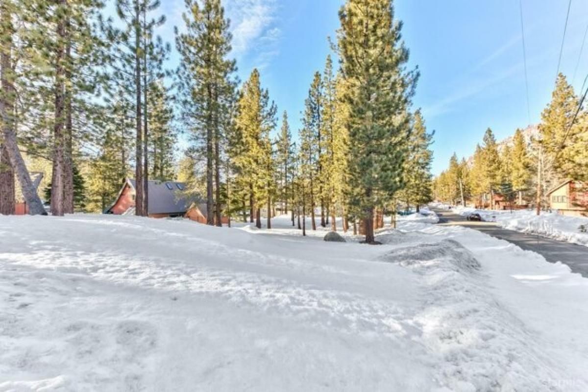 Picture of Residential Land For Sale in South Lake Tahoe, California, United States