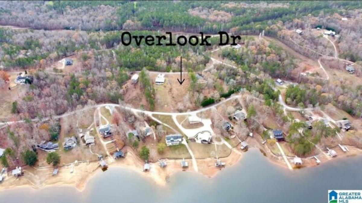 Picture of Residential Land For Sale in Lineville, Alabama, United States