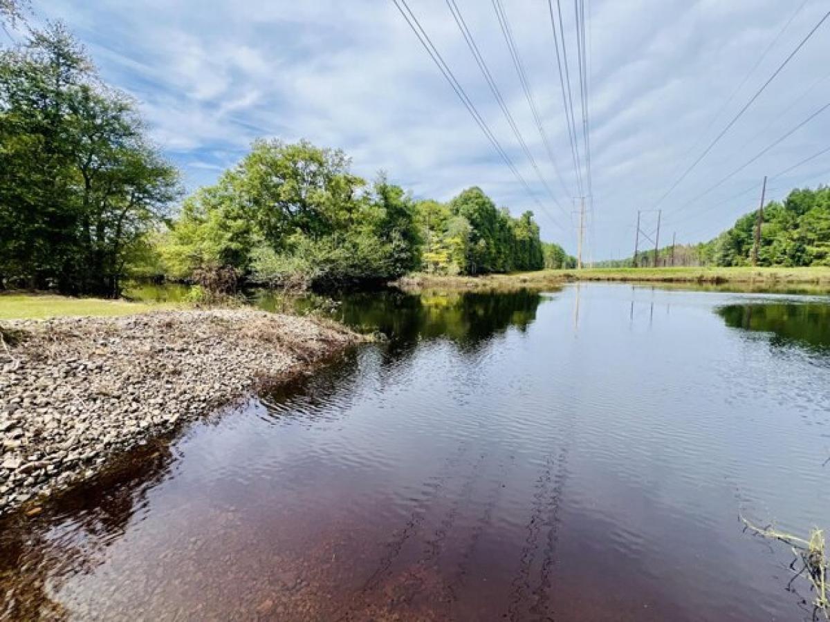 Picture of Residential Land For Sale in Salters, South Carolina, United States