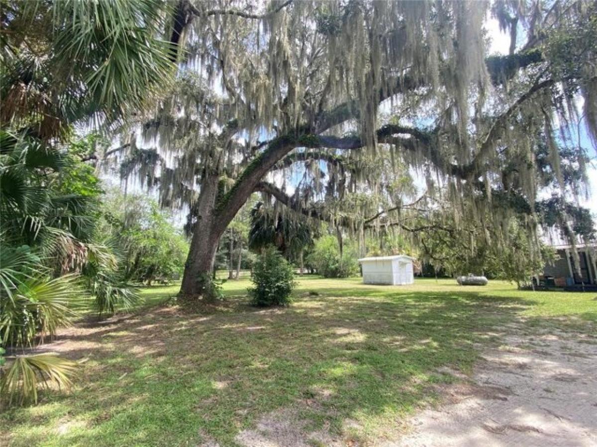 Picture of Home For Sale in Hawthorne, Florida, United States