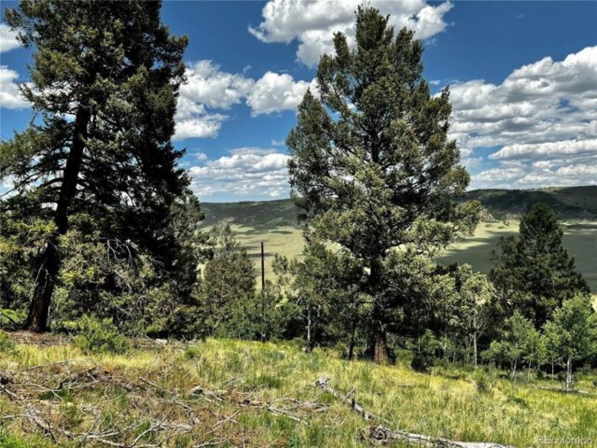 Picture of Residential Land For Sale in Fairplay, Colorado, United States