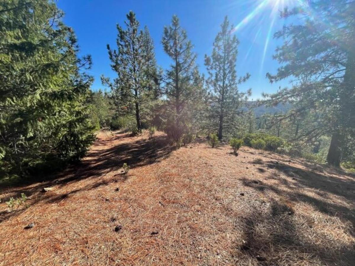 Picture of Residential Land For Sale in Placerville, California, United States