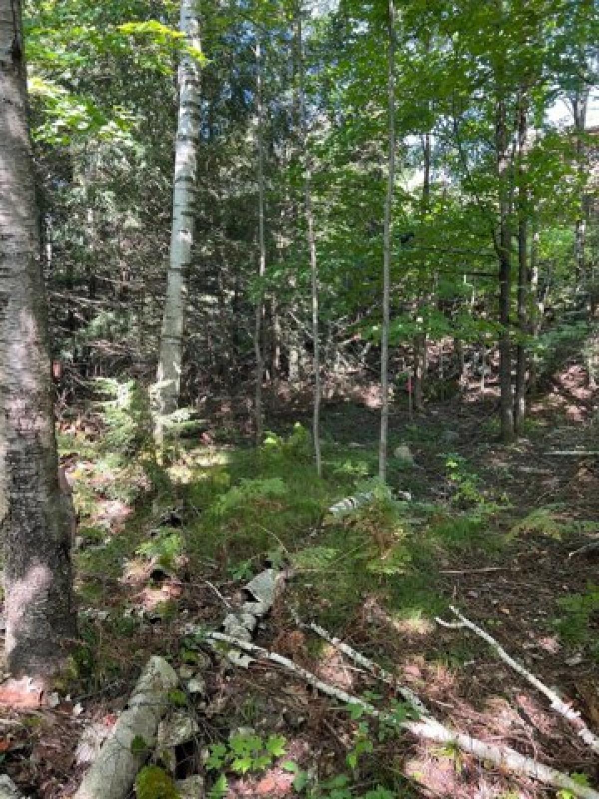 Picture of Residential Land For Sale in Minocqua, Wisconsin, United States