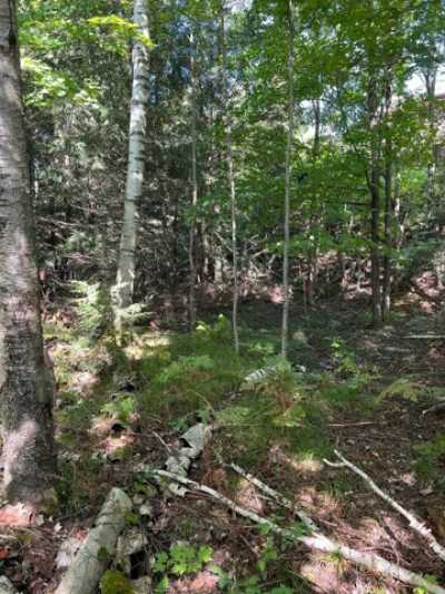 Residential Land For Sale in Minocqua, Wisconsin