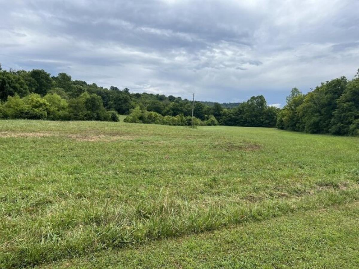 Picture of Residential Land For Sale in Pleasant Shade, Tennessee, United States