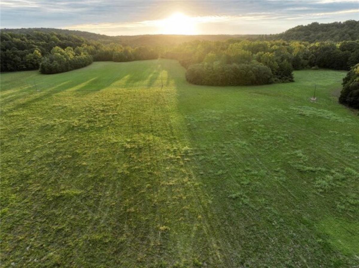 Picture of Residential Land For Sale in Poplar Bluff, Missouri, United States