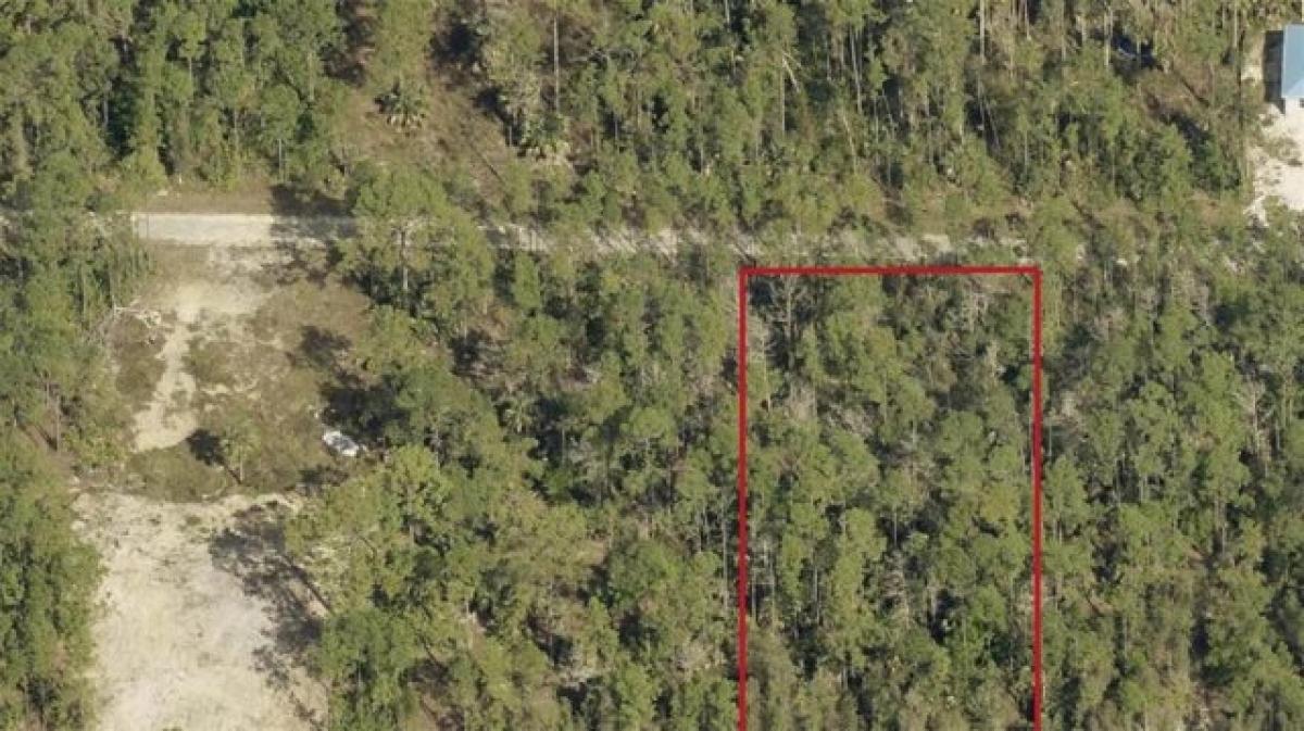 Picture of Residential Land For Sale in Lehigh Acres, Florida, United States