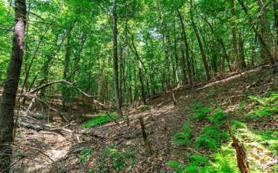 Residential Land For Sale in Mineral Bluff, Georgia