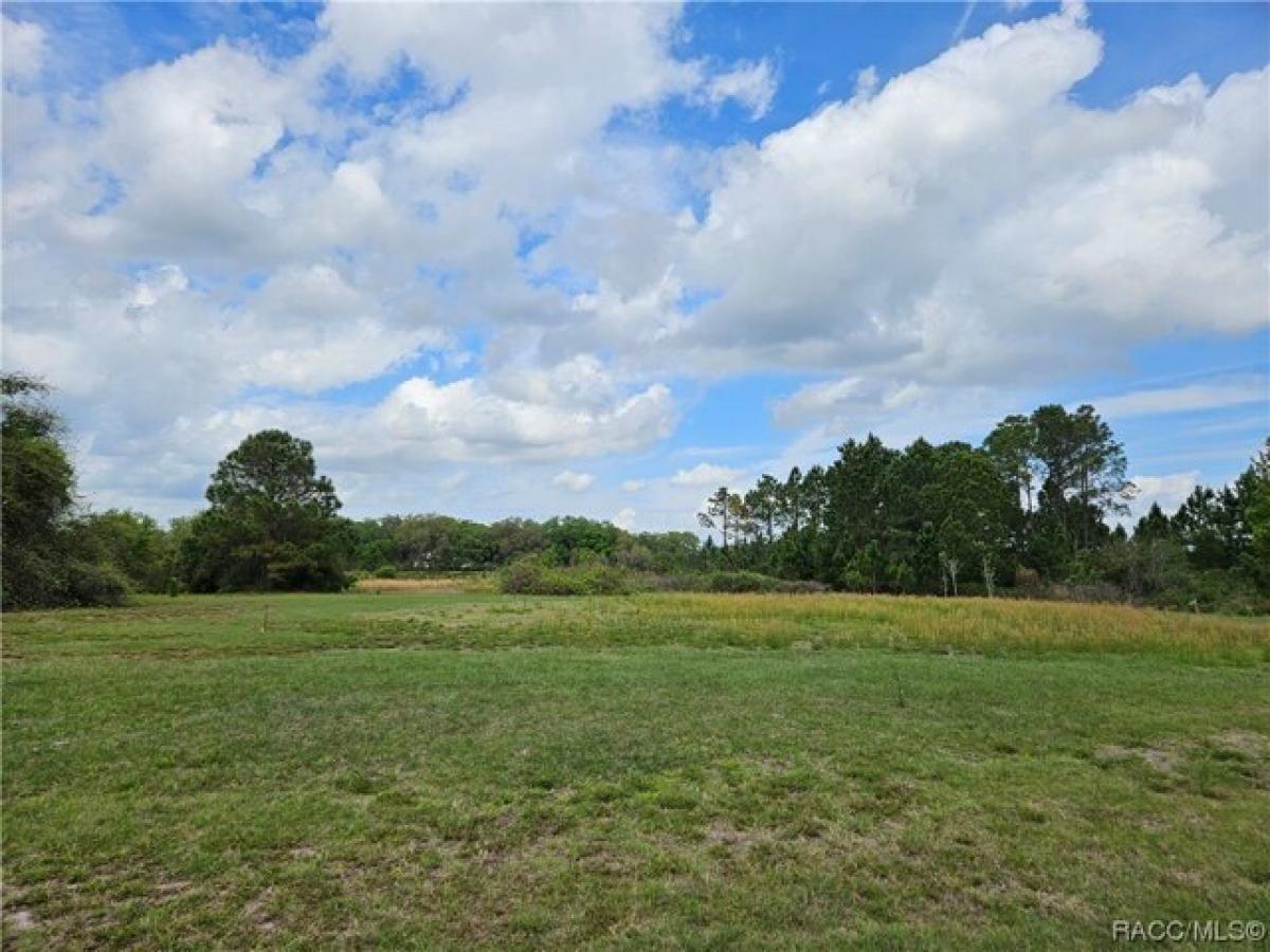 Picture of Residential Land For Sale in Groveland, Florida, United States