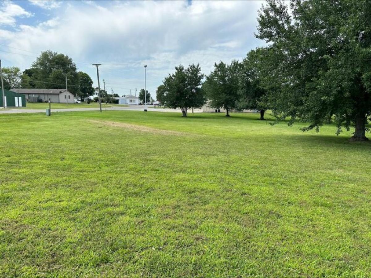 Picture of Residential Land For Sale in Mount Vernon, Missouri, United States