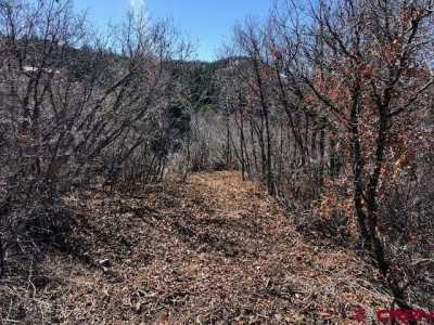 Residential Land For Sale in Pagosa Springs, Colorado