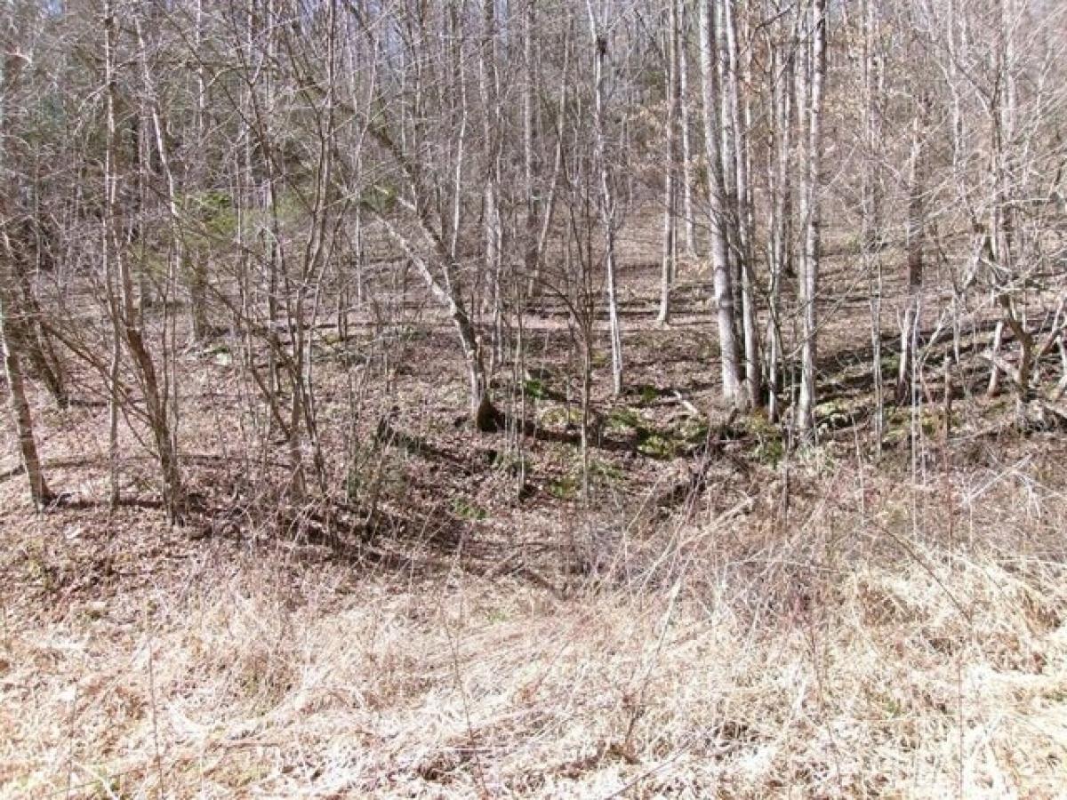 Picture of Residential Land For Sale in Pineville, West Virginia, United States