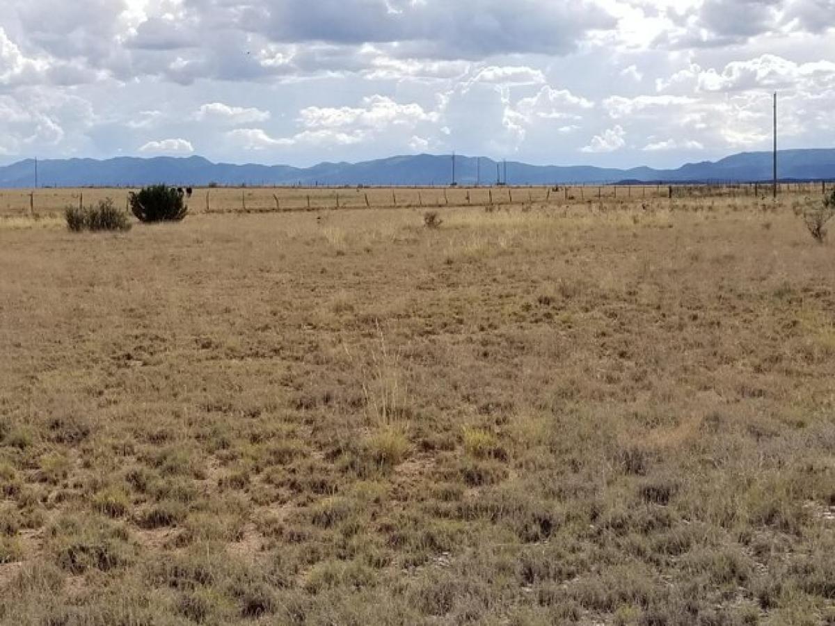 Picture of Residential Land For Sale in Estancia, New Mexico, United States