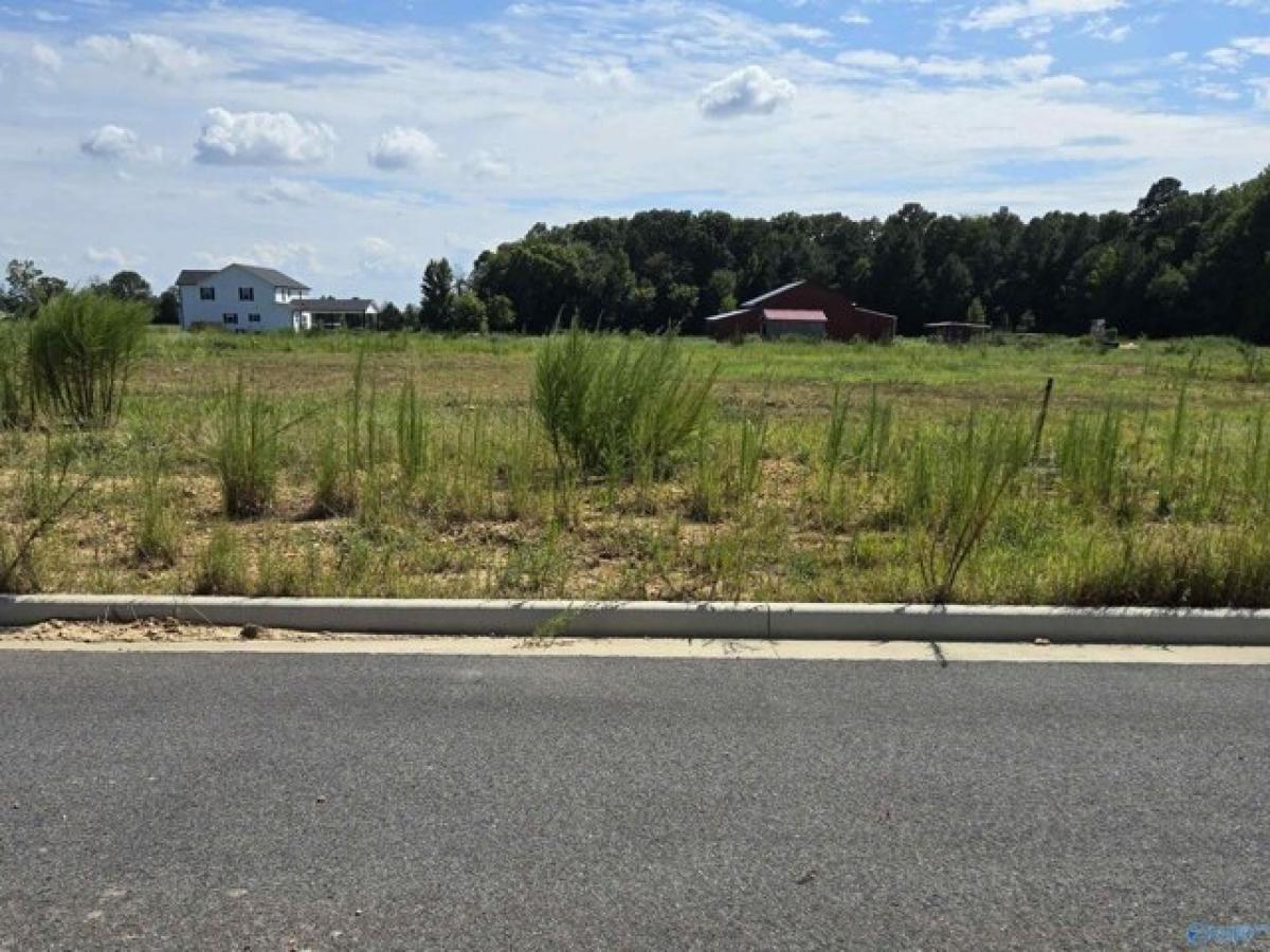 Picture of Residential Land For Sale in Athens, Alabama, United States