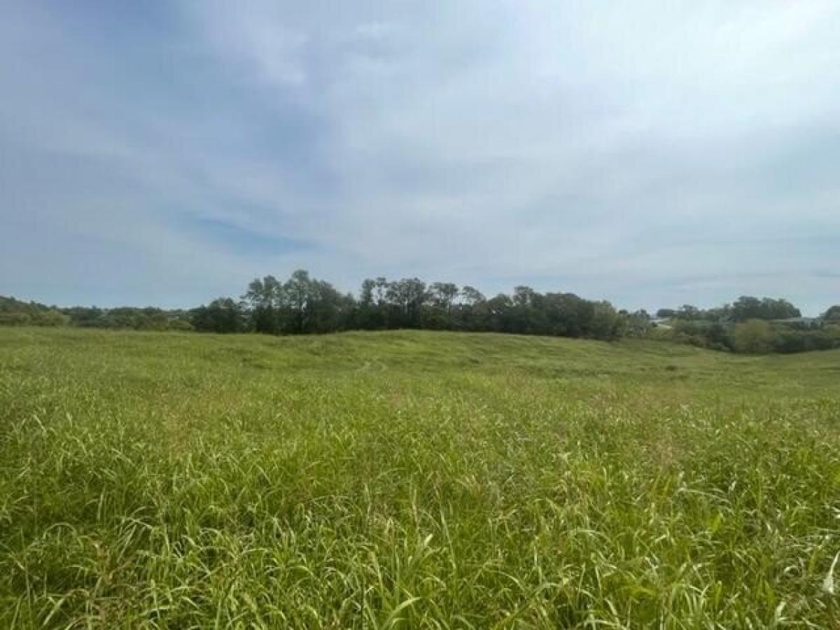 Picture of Residential Land For Sale in Berea, Kentucky, United States