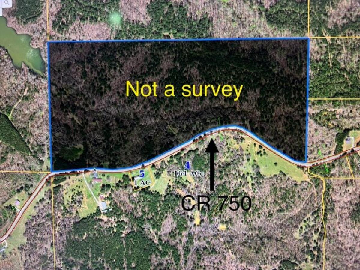 Picture of Residential Land For Sale in Dumas, Mississippi, United States