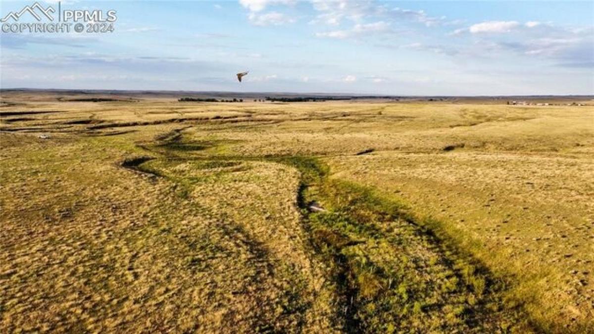 Picture of Residential Land For Sale in Calhan, Colorado, United States