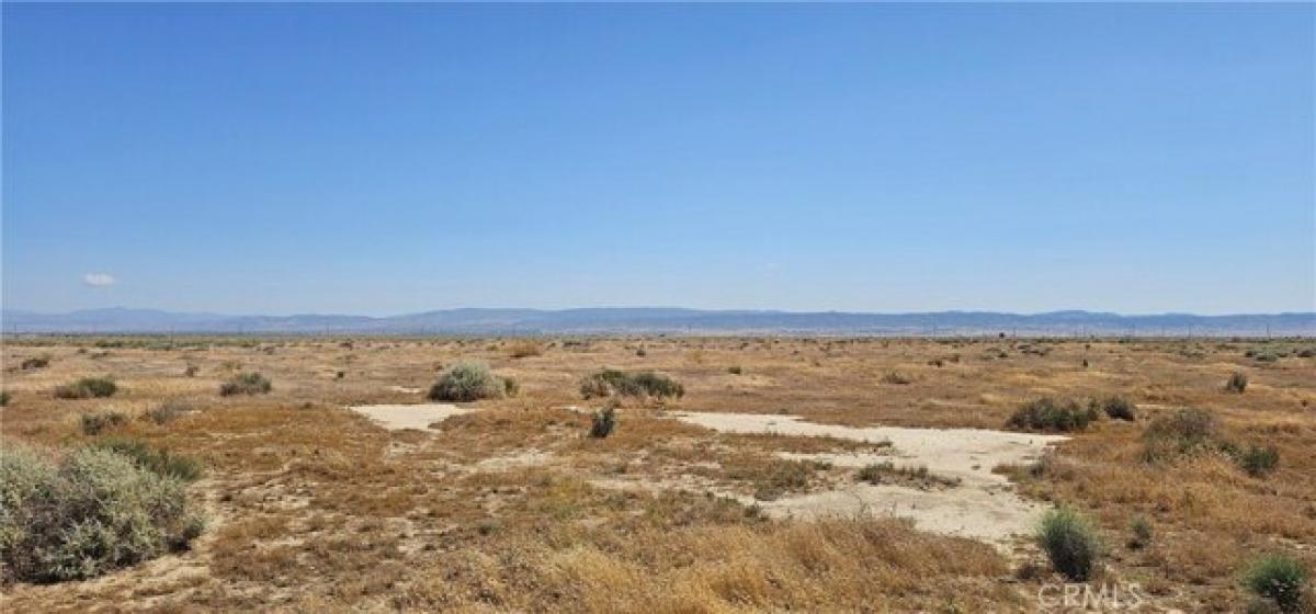 Picture of Residential Land For Sale in Llano, California, United States