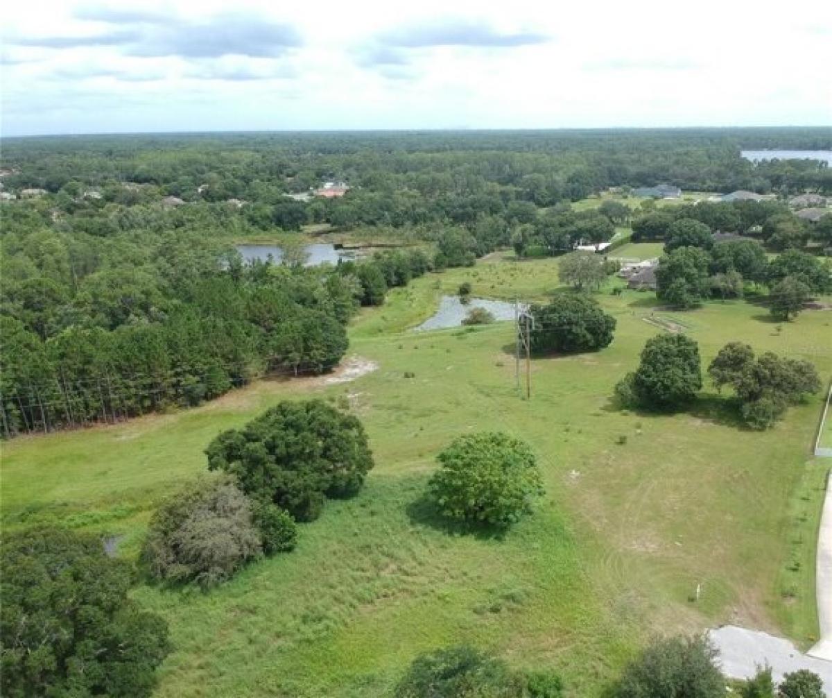 Picture of Residential Land For Sale in Odessa, Florida, United States